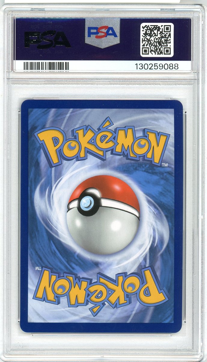 Fa / Pikachu Vmax back